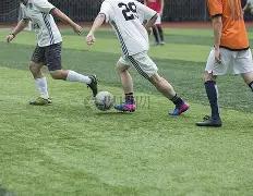 詹姆斯,篮板,东契奇,广州赛马会,赛程安排,赛果查询,马匹资料,赛事动态